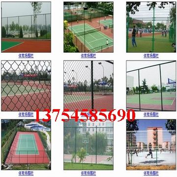 Anping Fencing Wire Mesh